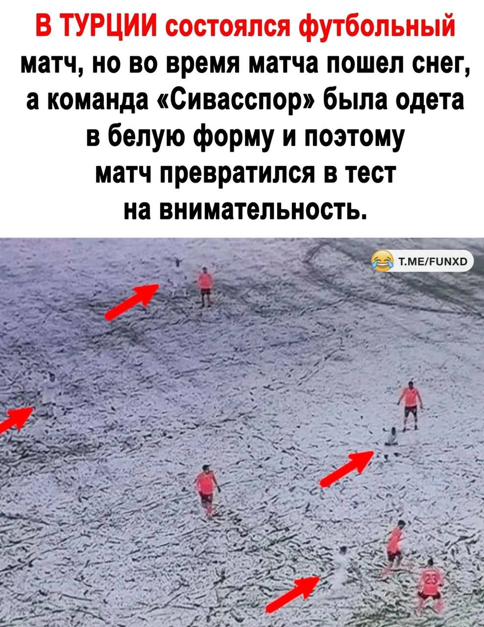 В ТУРЦИИ состоялся футбольный матч но во время матча пошел снег а команда Сивасспор была одета в белую форму и поэтому матч превратился в тест на внимательность