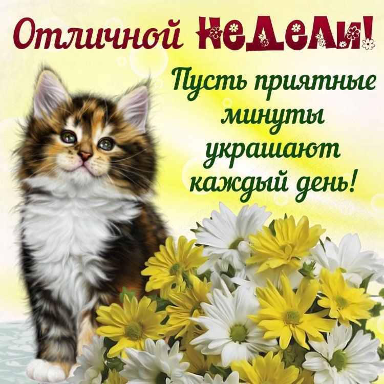 Отличной ЁЗВВМЁЁ Пусть пршитше