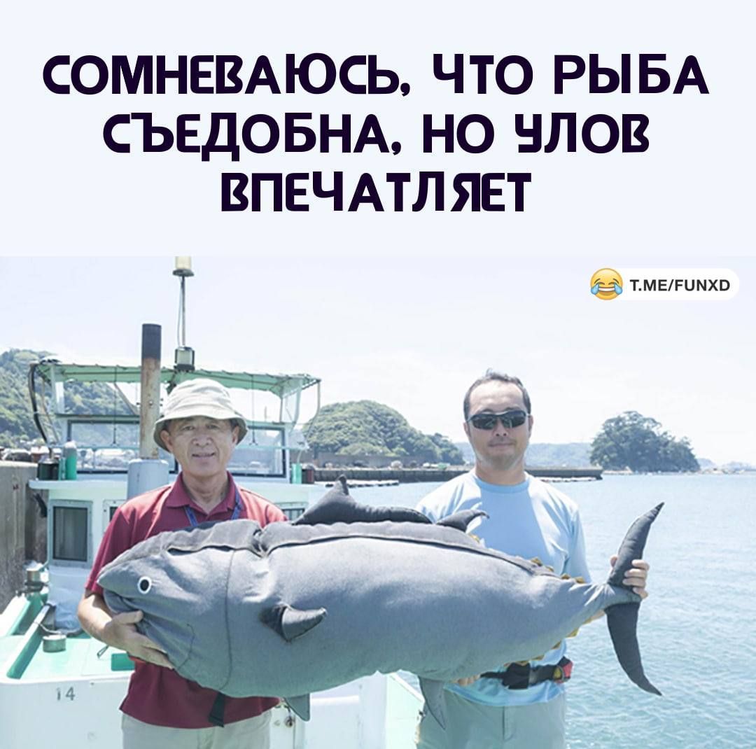 СОМНЕВАЮСЬ ЧТО РЫБА СЪЕДОБНА НО НЛОВ ВПЕЧАТЛБЕТ
