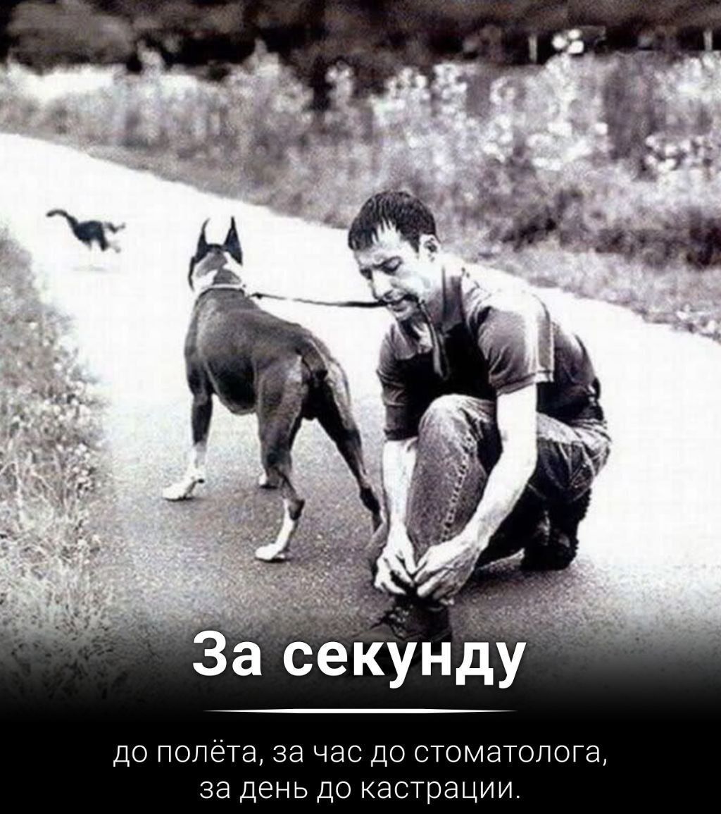 до полё а день до кас