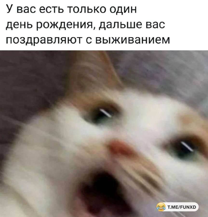 У вас ЕСТЬ ТОЛЬКО ОДИН ДЕНЬ РОЖДЕНИЯ дальше вас ПОЗДРаВЛЯЮТ С выживанием