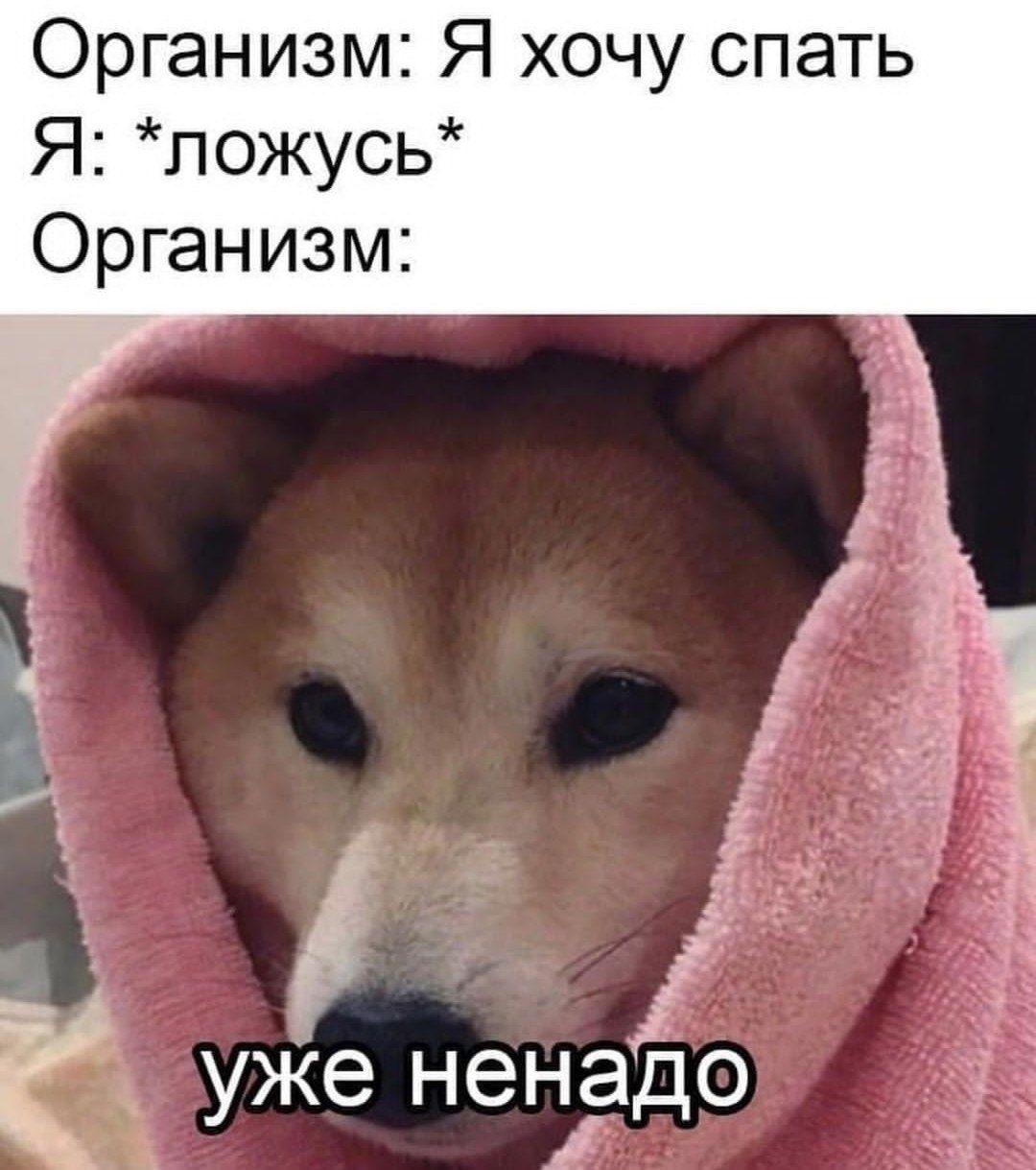Организм Я хочу спать Я пожусь Организм