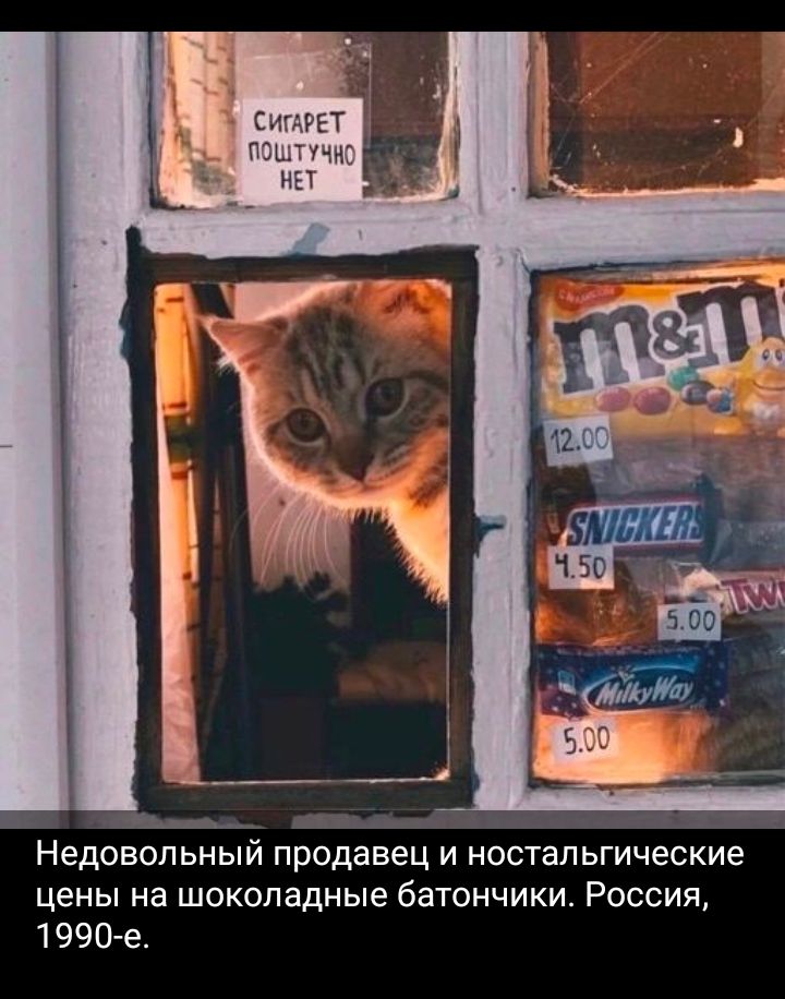 _ л Недовольный продавец И ностальгические цены на шоколадные батончики Россия 1990е