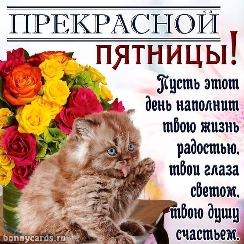 пятницы т Жисть этот _ день наполнит тБою жизнь радостью твои глаза Фетиш _ тБою души счастьем