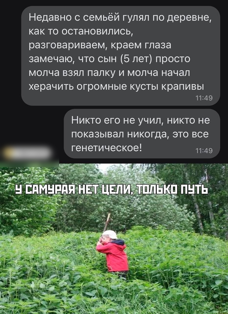 Недавно семьёй гулял по деревне как ТС ОСТЗНОВИПИСЬ разговариваем краем глаза замечаю что сын 5 лет просто молча взял папку и молча начал херачить ОГРОМНЫЕ КУСТЫ крапивы п АЭ НИКТО ЕГО не учил НИКТО НЕ показывал НИКОГДЭ ЭТО все генетическое