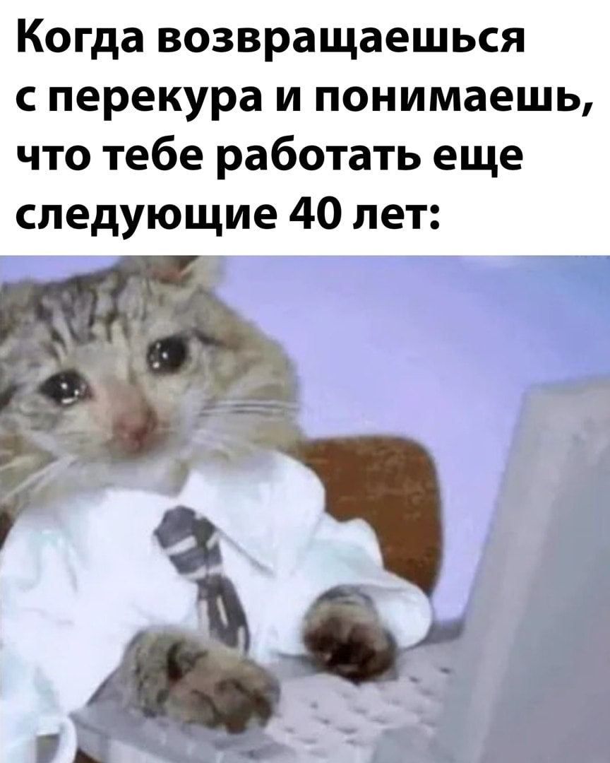 Когда возвращаешься с перекура и понимаешь что тебе работать еще следующие 40 лет