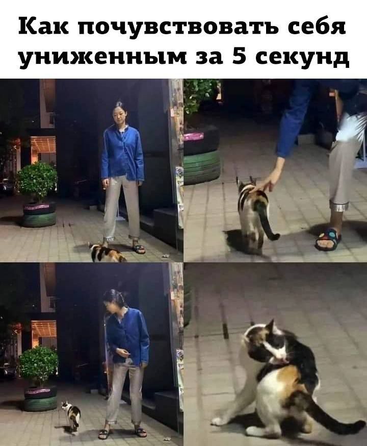 Как почувствовать себя уиижеииым за 5 секунд _ Ъ Ё 1 __ _ __ и г у Ё 9