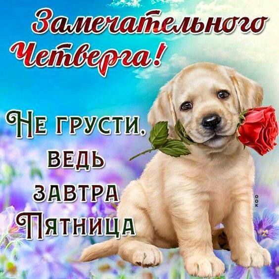 ГРУ ЕД СТ Е Ё