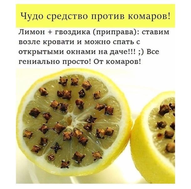 Чудо средство против комаров Лимон гвоздика приправа сгавим возле кровати и можно спать с пткрытыми окнами на даче Все гениально прост От комаров