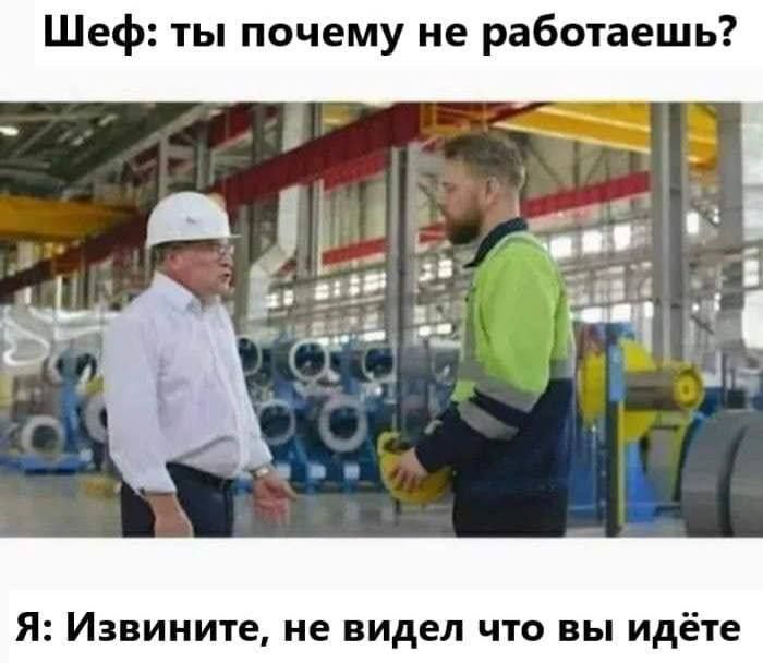 Шеф ты почему не работаешь Я Извините не видел что вы идёте