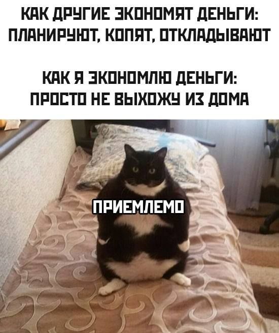 КПК дРНГИЕ ЗКПНПМПТ ЛЕНЬГИ ПЛПНИРНШТ КПППТ ПТКЛддЫВПШТ КПК Я ЗКПНПМПШ дЕНЬГИ ПРПЕТП НЕ ВЫХПЖН ИЗ дПМд