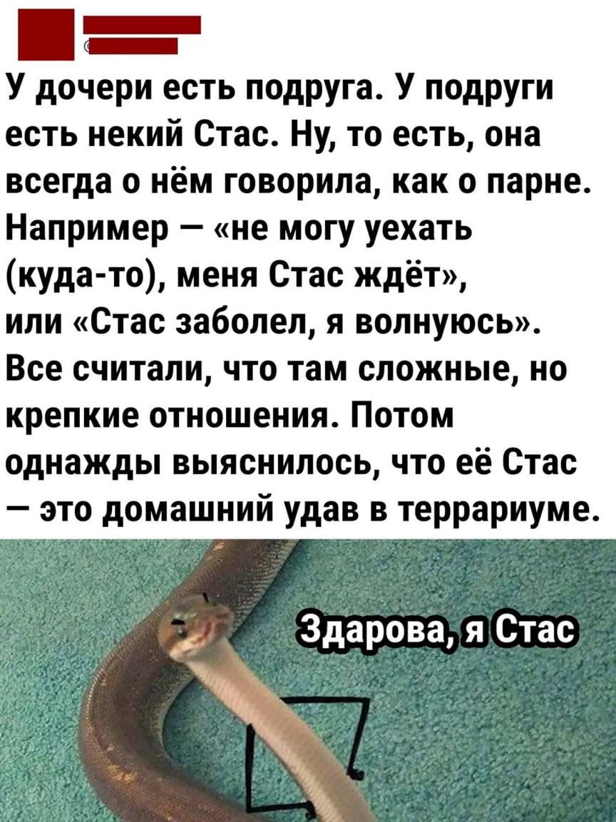 _ У дочери есть подруга У подруги есть некий Стас Ну то есть она всегда о нём говорила как о парне Например не могу уехать куда то меня Стас ждёт или Стас заболел я волнуюсь Все считали что там сложные но крепкие отношения Потом однажды выяснилось что её Стас это домашний удав в террариуме Здарова я Стас