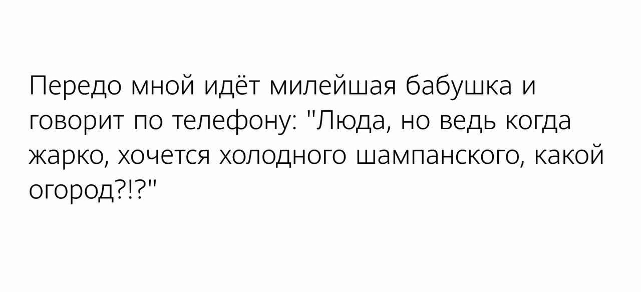 Передо мной идёт мипейшая бабушка и говорит по телефону Люда но ведь когда жарко хочется холодного шампанского какой огород