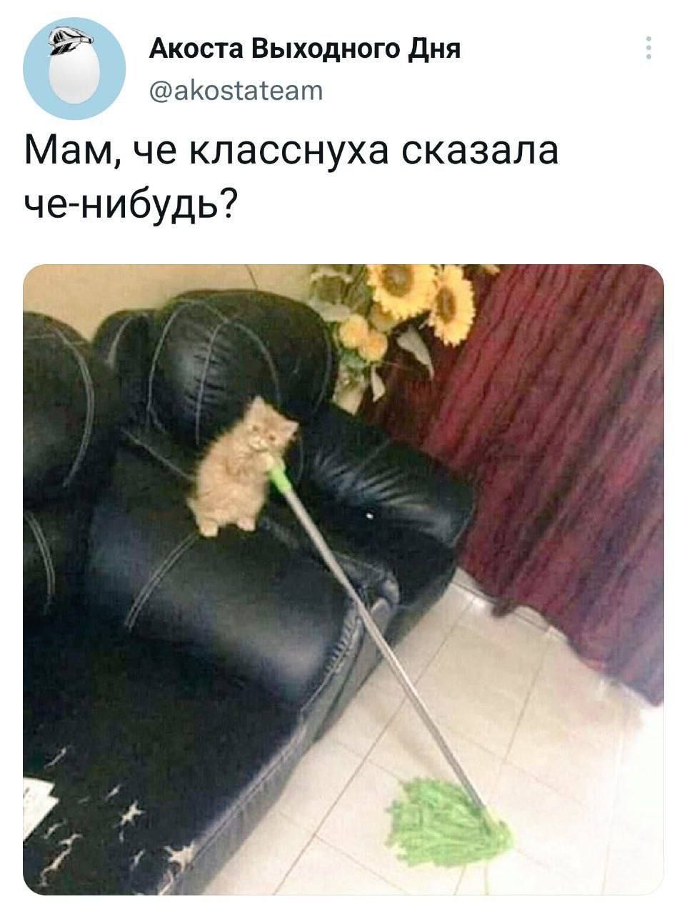 Акоста Выходного дня эКсэіасеат Мам че класснуха сказала че нибудь