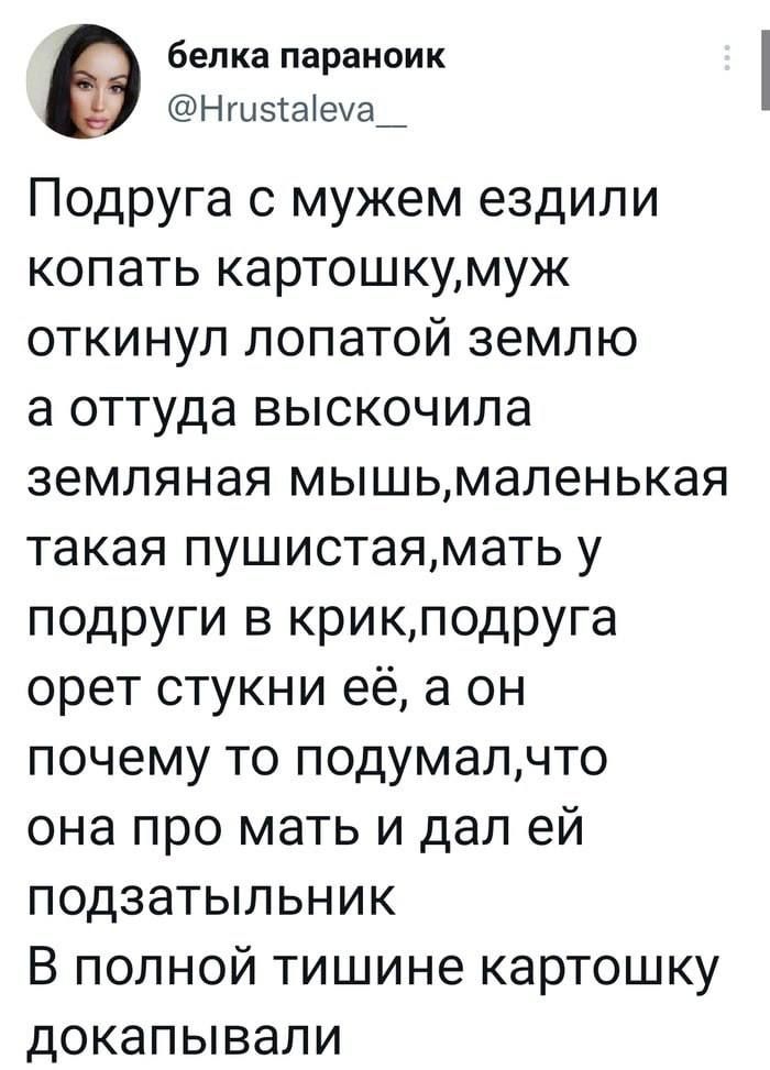 белка параноик Нгыэіаіеуа_ Подруга с мужем ездили копать картошкумуж откинул лопатой землю а оттуда выскочила земляная мышьмаленькая такая пушистаямать у подруги в крикподруга орет стукни её в он почему то подумалчто она про мать и дал ей подзатыпьник В полной тишине картошку докапывали
