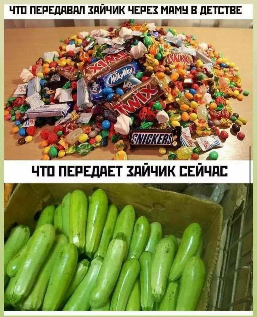 чтп пвяелдвпл зайчик чет мамы в детстве _д__