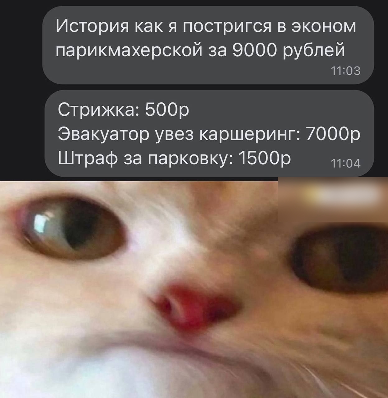 ИСТОРИЯ как Я постригся В ЭКОНОМ парикмахерской за 9000 рублей 11 03 Стрижка 500р Эвакуатор увез каршеринг 7000р Штраф за парковку 1500р