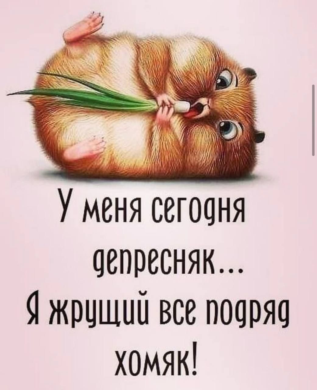 Уменя сегодня депресняк д жрдшшл все подряд хомяк