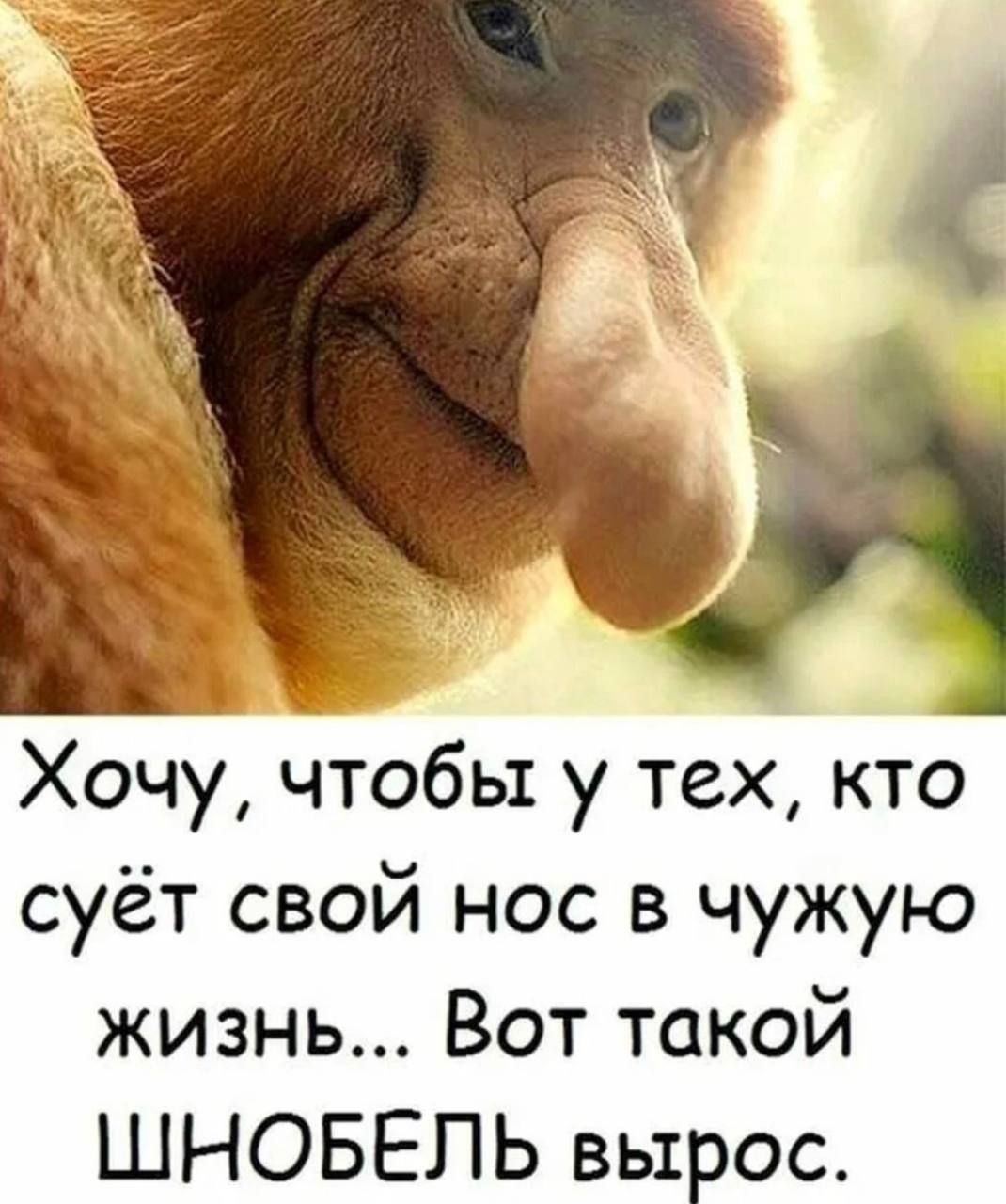Хочу чтобы у тех кто суёт свой нос в чужую жизнь Вот такой ШНОБЕЛЬ вырос