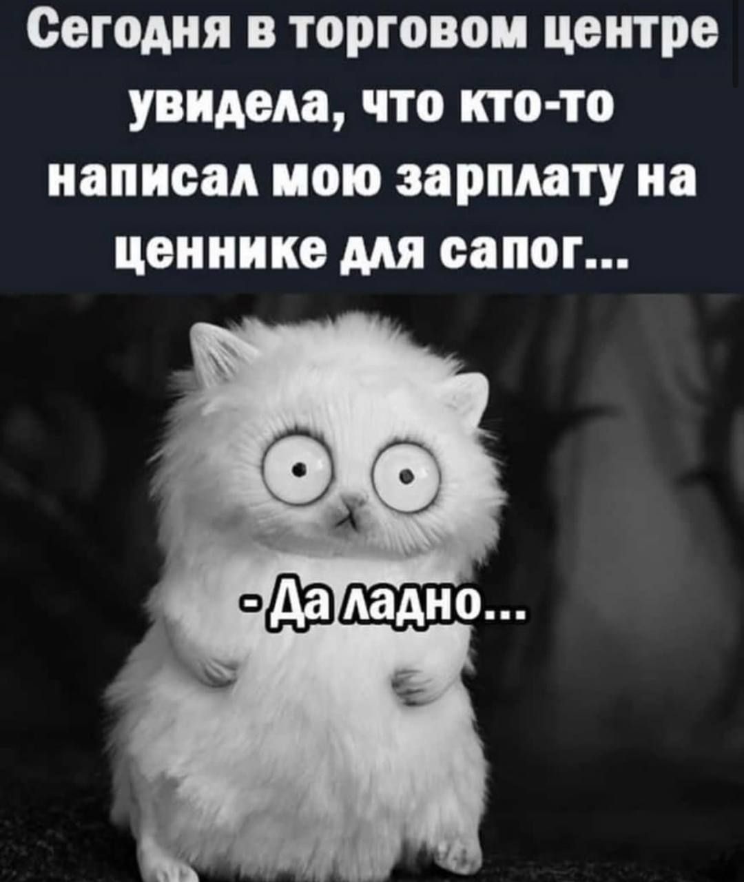 Сегодня в торговец центре увидела что кто то написал мою зарплату на ценнике мя сапог