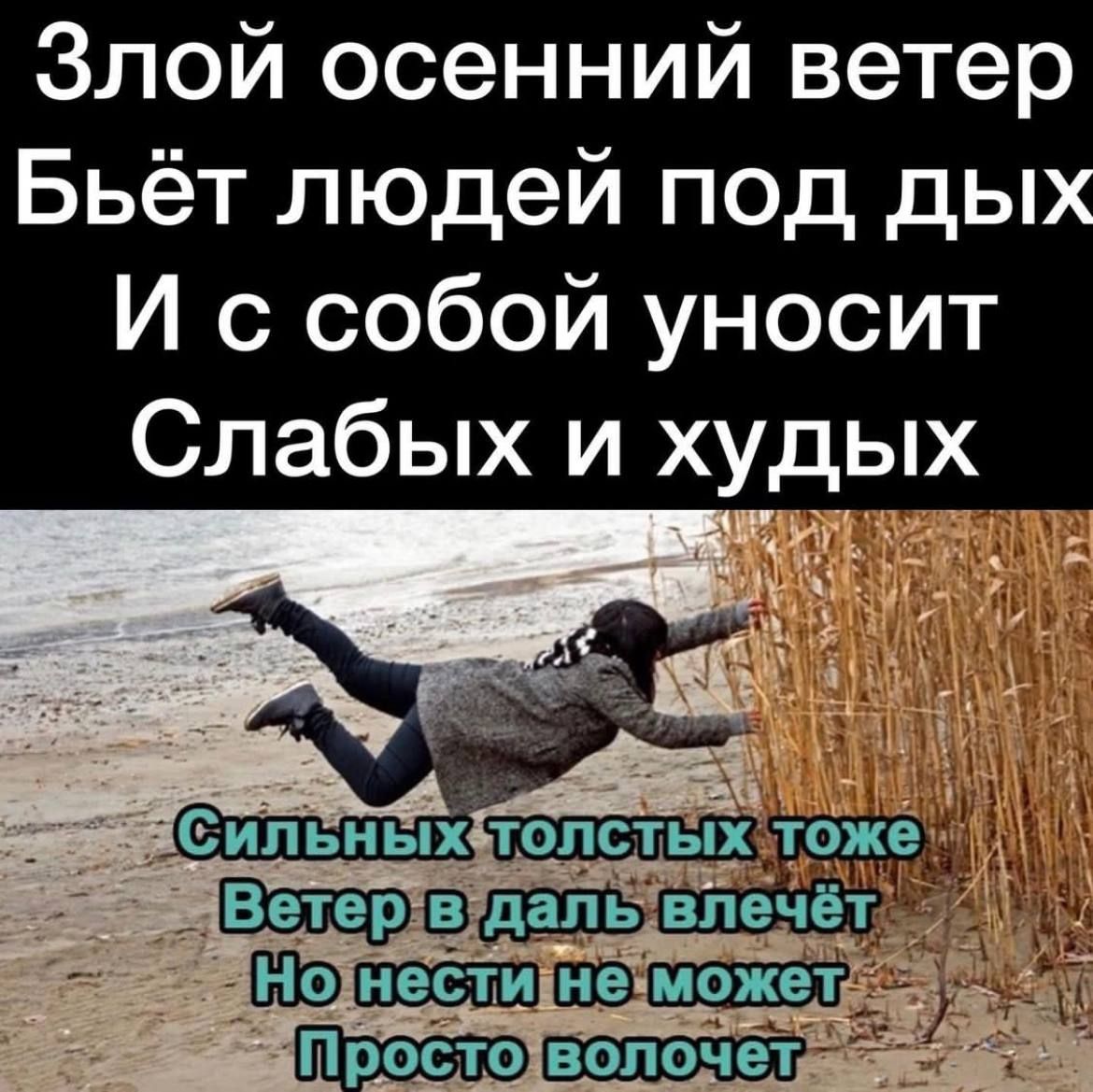 Злой осенний ветер Бьёт людей под дых И с собой уносит Слабых и худых