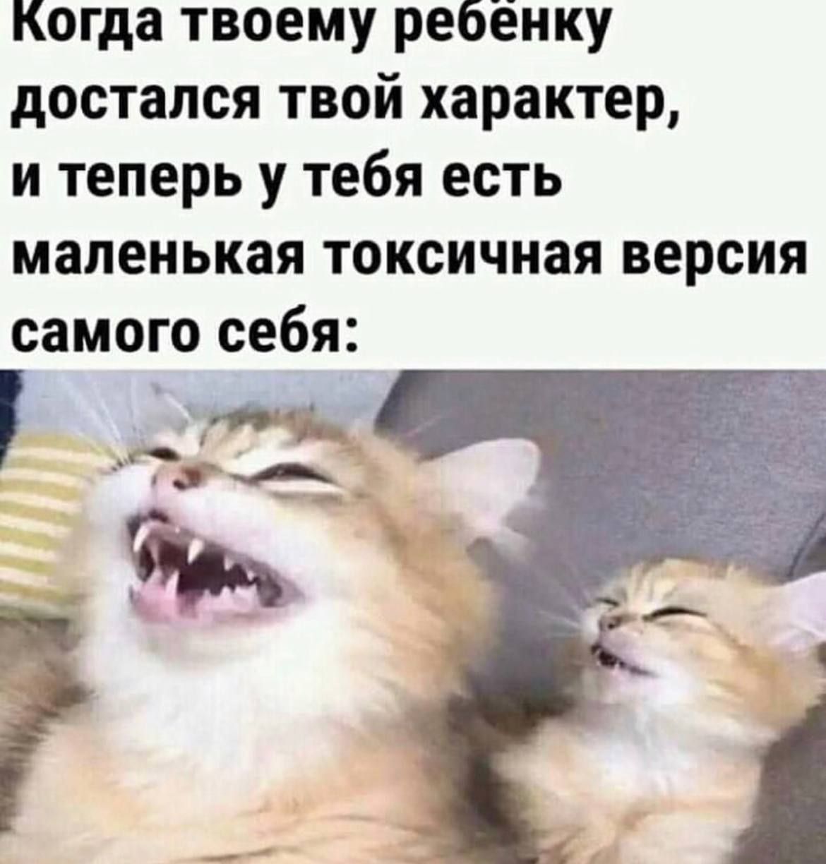 Когда твоему ребёнку достался твой характер и теперь у тебя есть маленькая токсичиая версия самого себя