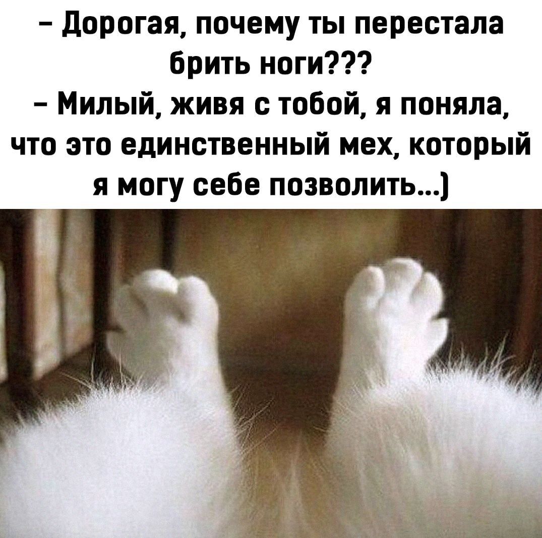 дорогая почему ты перестала брить ноги Милый живя с тобой я поняла что это единственный мех который я могу себе позволить