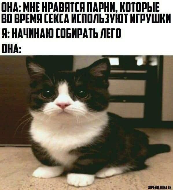 ПНА МНЕ НРАБШЕЯ ПАРНИ КПШРЫЕ ВП ВРЕМЯ ЕКЦ ИШМЬЗУШТ ИГРУШКИ Я НАЧИНМП ШБИРМЬ ЛЕП ПНА