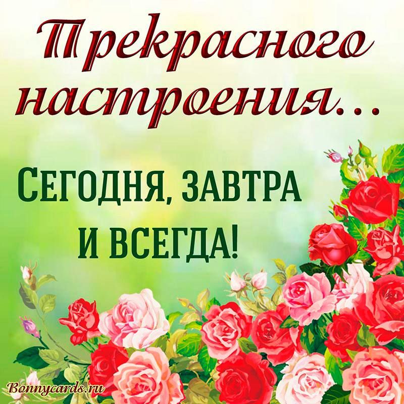 тре Мадамэр автдня ЗАВТРА 9 _ ившагдА А