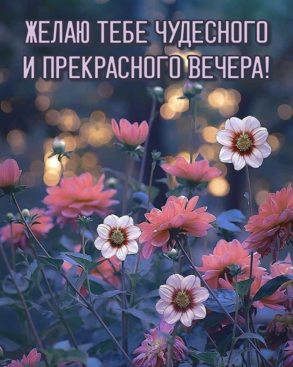 ЖЕЛАЮ ТЕБЁЧУДЕСНПГП И ПРЕКРАЕНПГЁЁЕЧЕРА