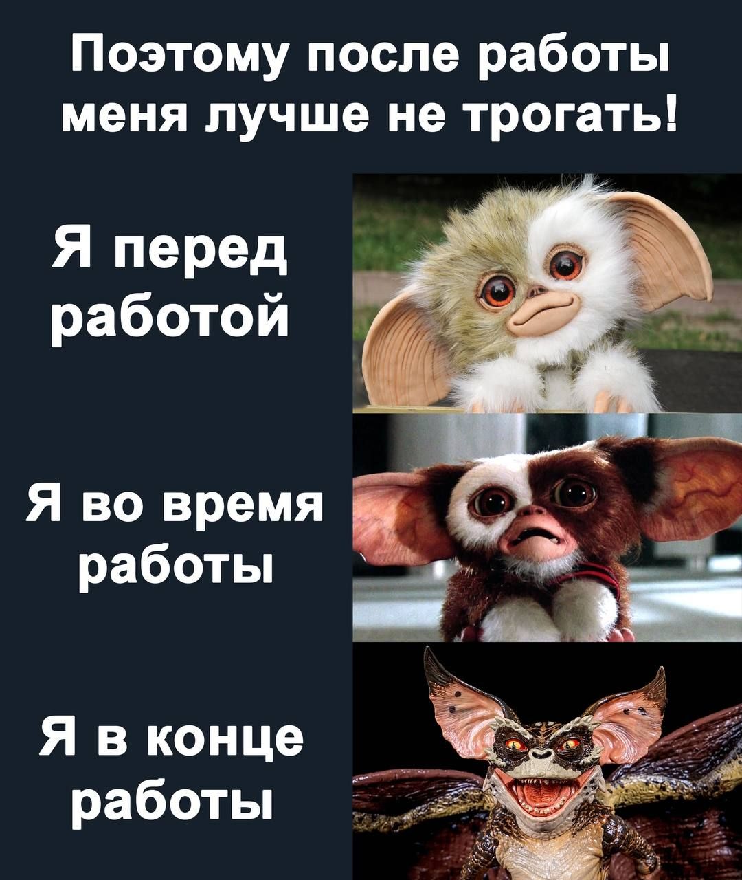 Поэтому после работы меня лучше не трогать Я перед Я в конце работы