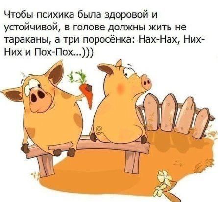 Чтобы психика была здоровой и усгойчивой в голове должны жить не тараканы а три поросёнка Нах Нах Них Них и Пох Пох дій 7