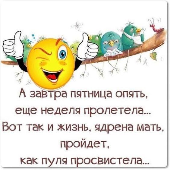 А завтра пятница опять еще неделя пролетела Вот так и жизнь ядрена мать пройдет как п пя п освистепа
