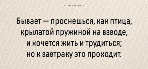 Бывает проснешься как птица крылатой пружиной на взводе и хочется жить и трудиться но к завтраку это проходит