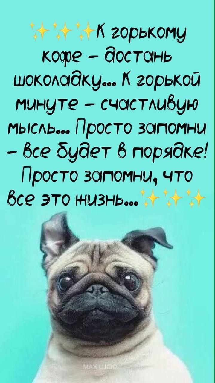 горькоиу ковре достань шокоюдку горькой минуте счастшбую мысь Просто запомни бсе будет 6 порядке Просто запомни что без это нчызнь г