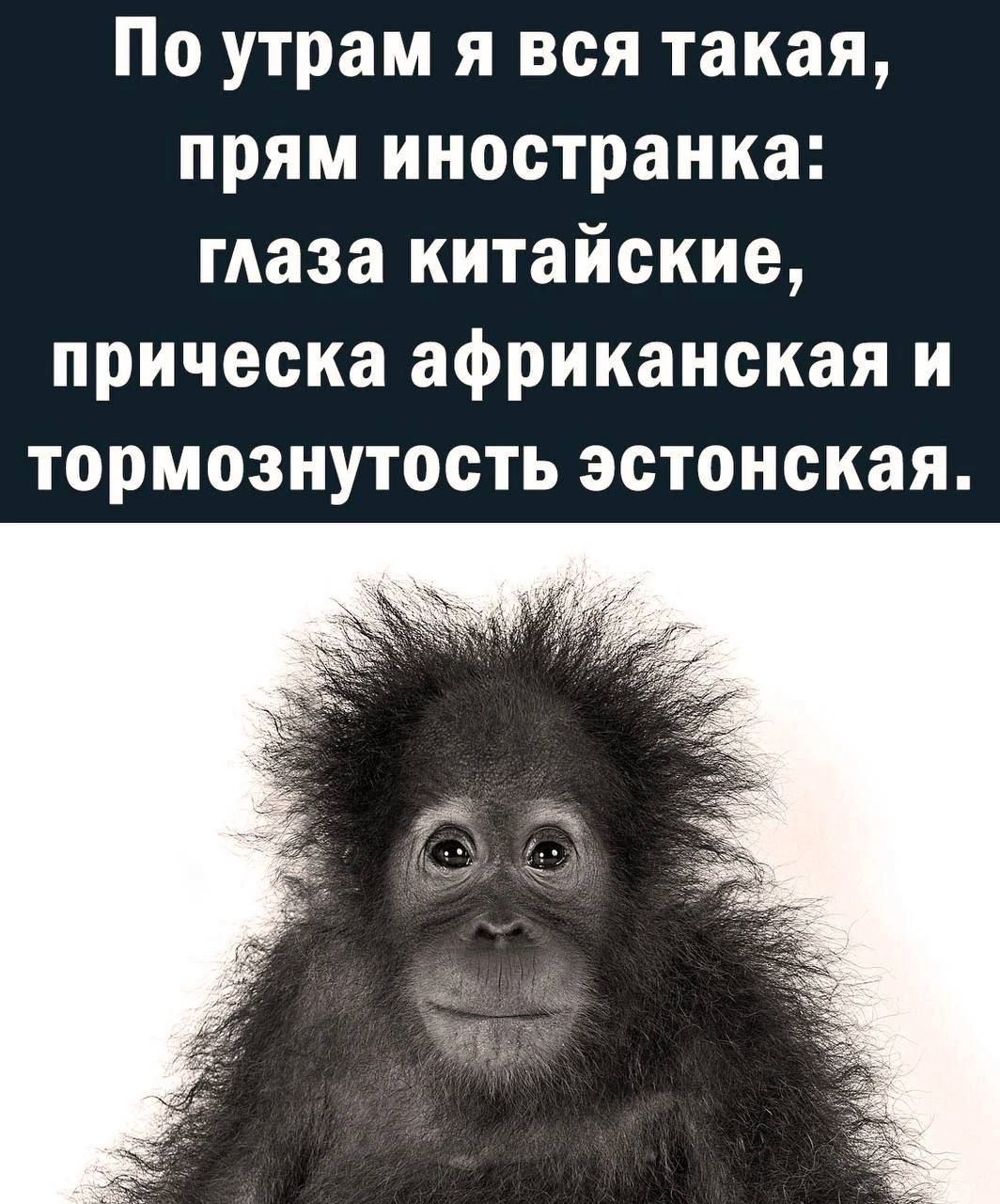 По утрам я вся такая прям иностранка маза китайские прическа африканская и тормознутость эстонская