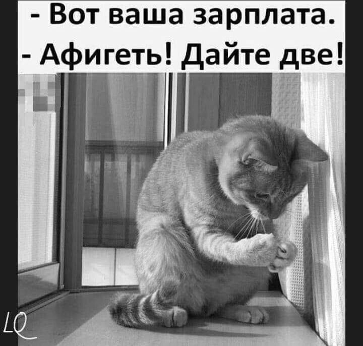 Вот ваша зарплата Афигеть Дайте две