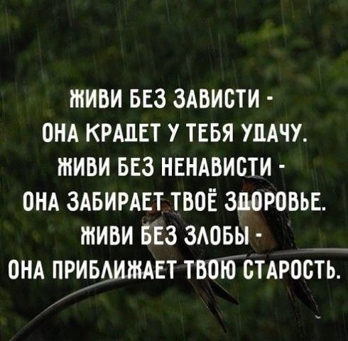 тиви вез зАвисти онд КРАПЕТ у тебя шчу тиви вез нвндвисти ОНА ЗАБИРАЕТ твоё здоровье тиви БЕз зювы __ онд прившими твпібстдрость
