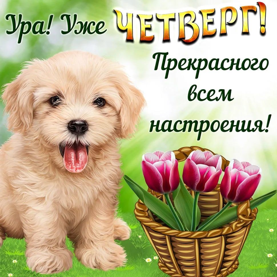 Ура Уже ЩЕТЁЕ