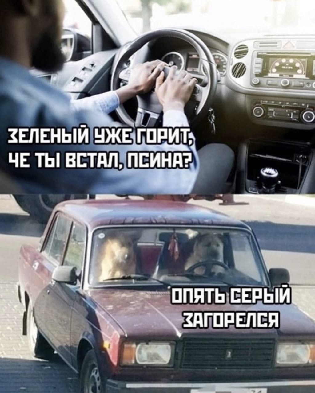 Елвный нжв Гарт чв ты встдппгдинпэ