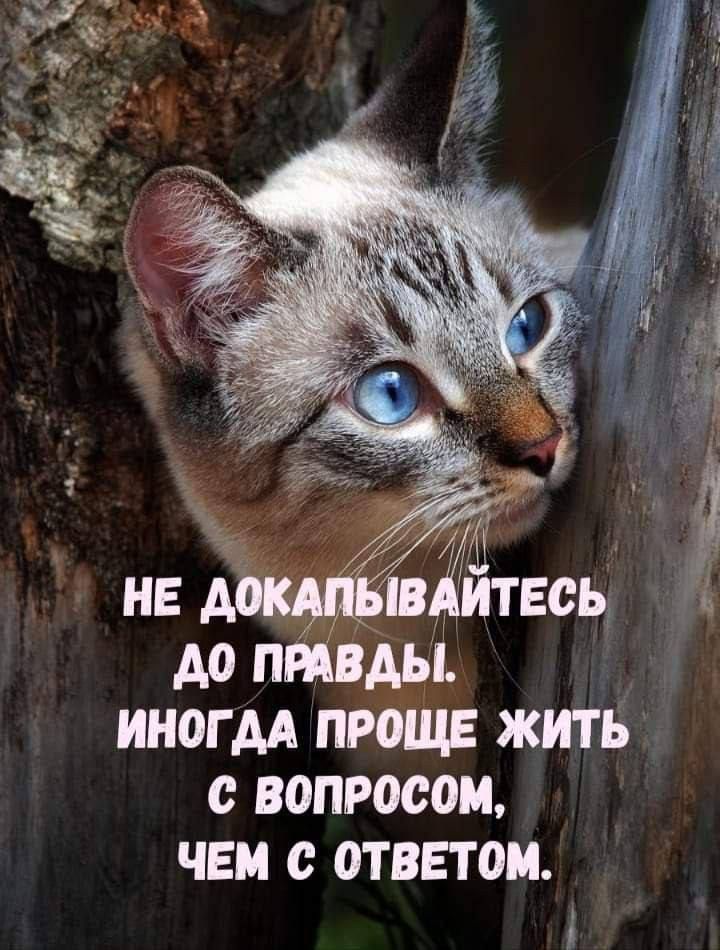иногм проще жить с вопросом чеи ответом і