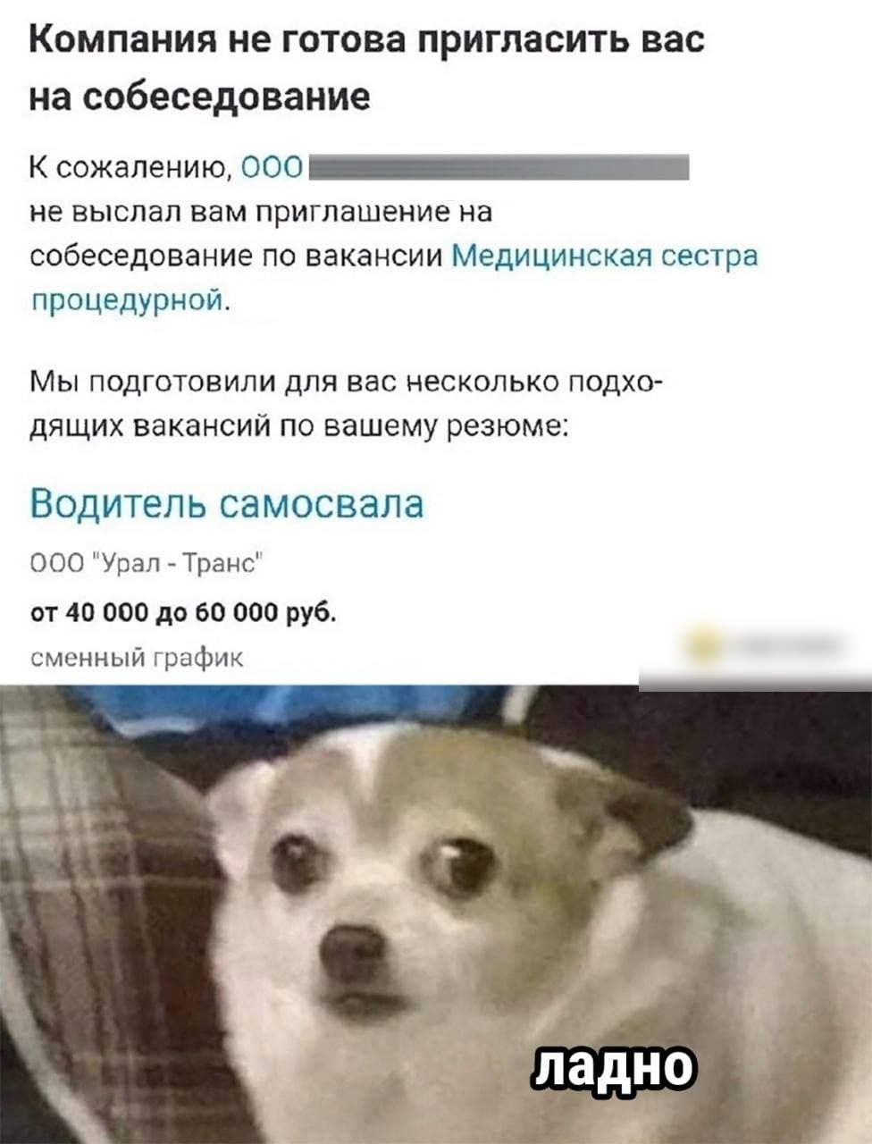 Компания не готова пригласить вас на собеседование к сожалению ооо не выслал вам приглашение на собеседование по вакансии Медицинская сестра процедУРНой мы подготовили для нас несколько подхо дящих вакансий по вашему резюме ВОДИТЕЛЬ СВМОСВЭЛЕ ооо Увап Тваис и 40 поп ао ао шп руб мициый пифтд