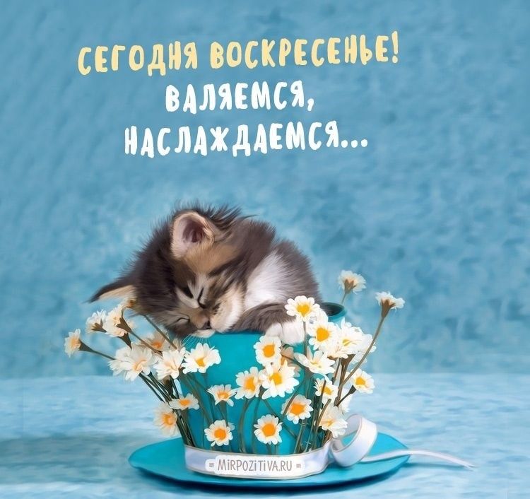 тат папам пляши милыми