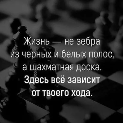 Жизнь не зебра из черных и белых полос а шахматная доска Здесь всё зависит от твоего хода