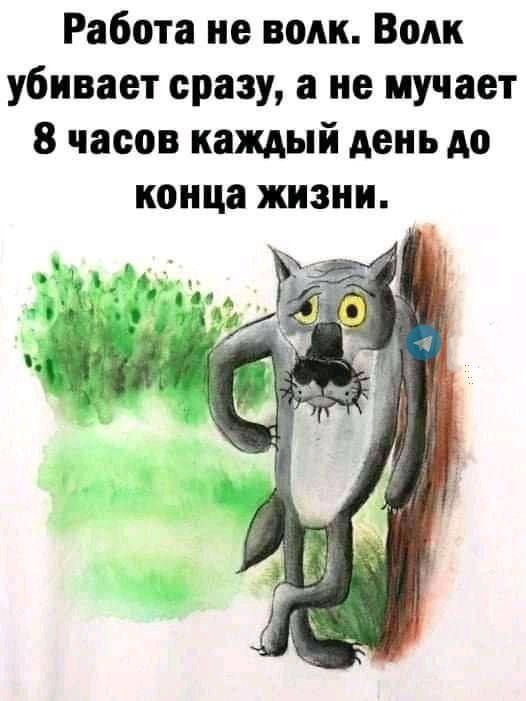 Работа не волк Волк убивает сразу а не мучает 8 часов каждый день до конца жизни