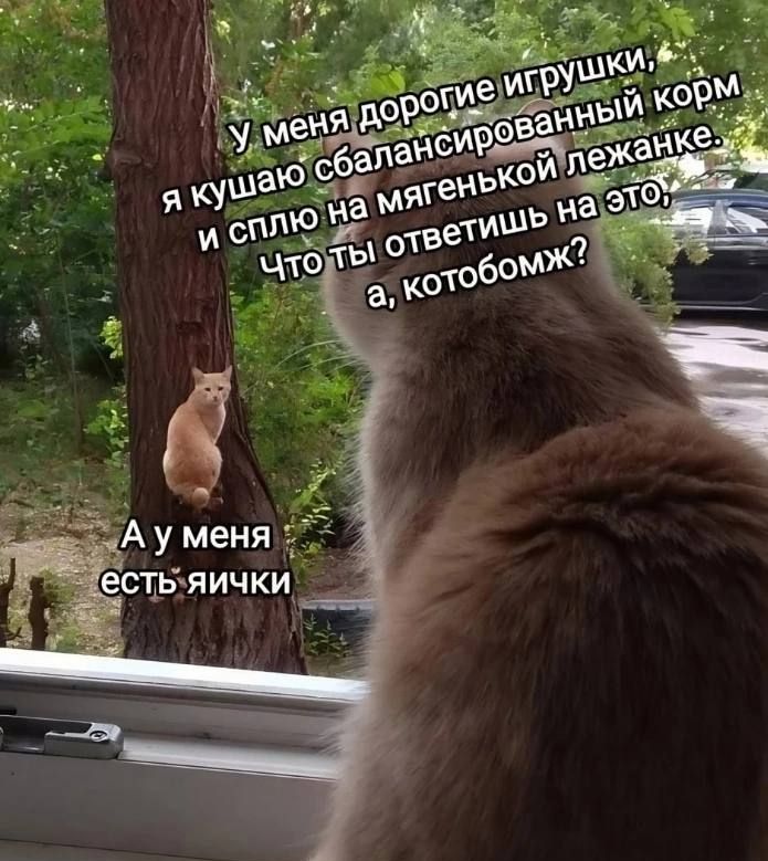 Ауменя естьяички