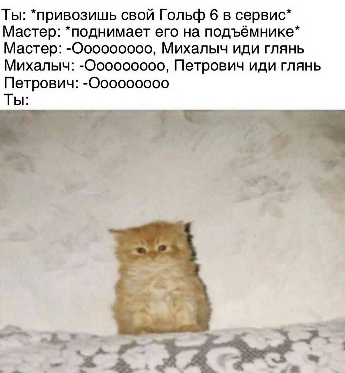 Ты привозишь свой Гольф 6 в сервис Мастер поднимает его на подъёмнике Мастер 000000000 Михалыч иди гппнь Михалыч 000000000 Петрович иди глянь Петрович 4300000000 Ты