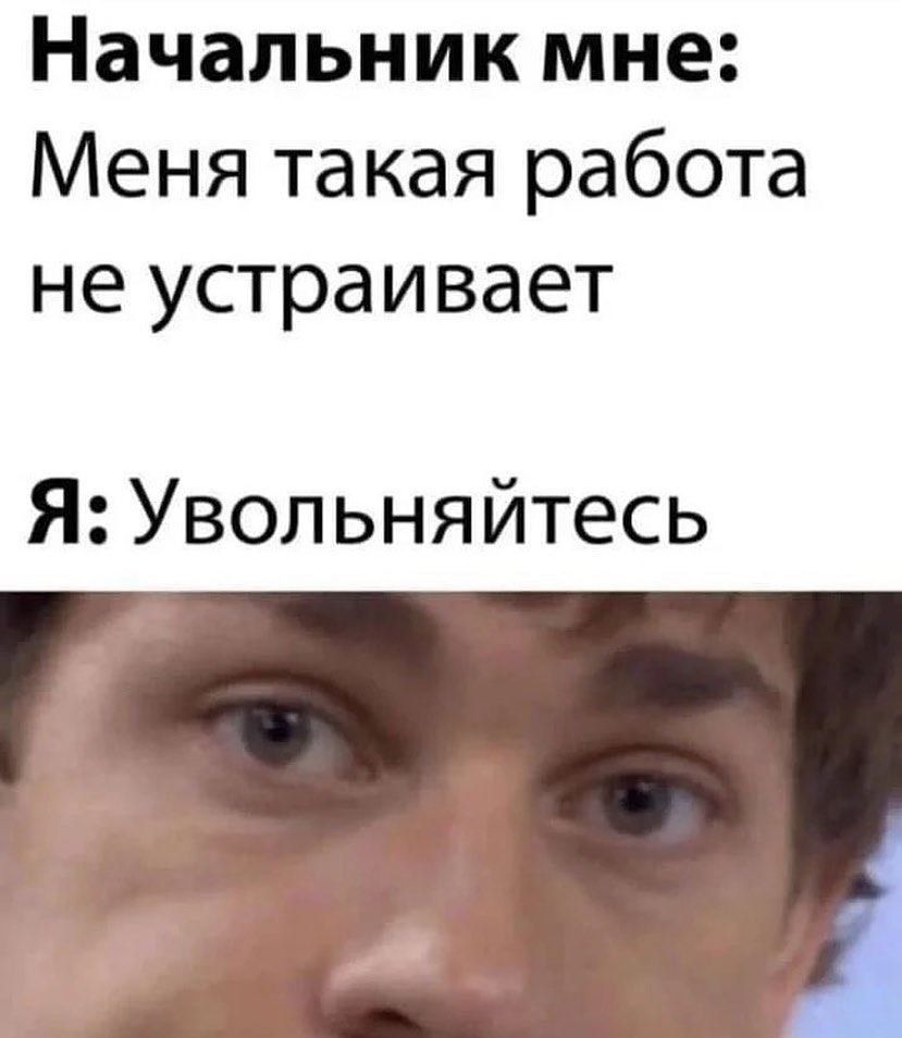 Начальник мне Меня такая работа неустраивает Я Увольняйтесь