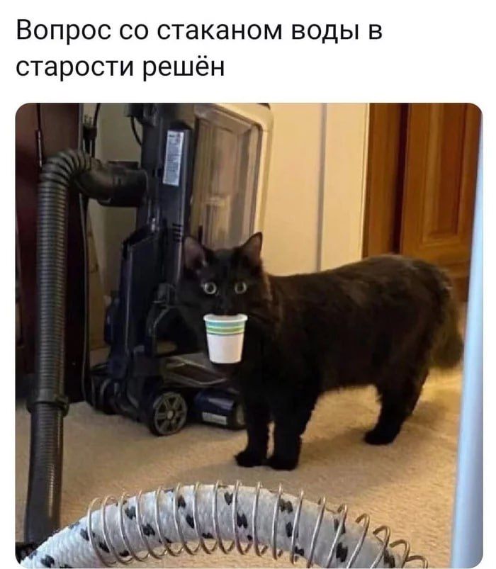 Вопрос со стаканом воды в старости решён
