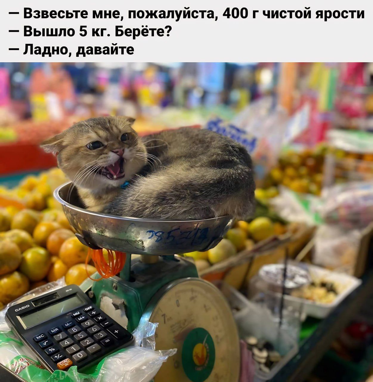 Взвесьте мне пожалуйста 400 г чистой ярости Вышло 5 кг Берёте Ладно давайт